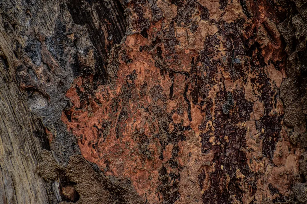 مردوں کی جسمانی اور ذہنی توانائی کے لیے یوگا — پرانایامہ، صبح کی آسن، ارتکاز، نظم و ضبط، جنگجو آسن، سوریہ نمسکار کے بارے میں اہم معلومات